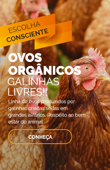 Ovos Orgânicos